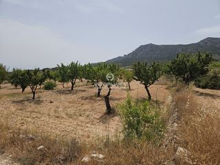 Finca rústica a Romana (la)