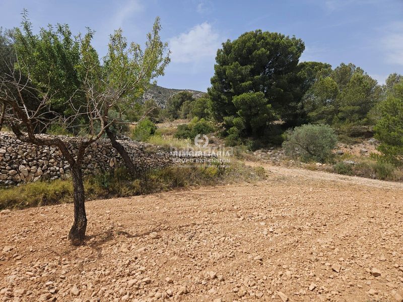 Foto d544d880-aab1-4ec6-893e-7e2ad6df3c58. Finca rústica a Romana (la)