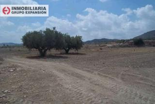 Finca rústica a Pedanías Oeste. Parcela en aspe la horna baja