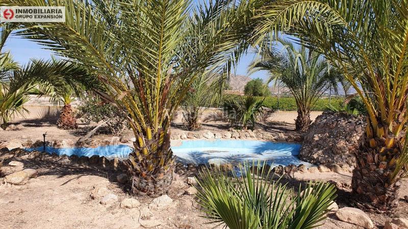 Foto 63b4bb7d-08cb-4fec-879b-d7ceb86abf78. Xalet amb piscina a El Castillo Aspe