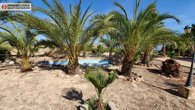 Foto d334b3df-788c-4a6d-a69d-a0bcb1b1b9a8. Xalet amb piscina a El Castillo Aspe