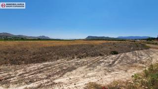 Propriété à Romana (la). Terreno en la romana con muy buenas vistas