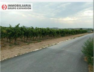 Finca rústica a Pedanías Oeste. Terreno en aspe parcela 5500 m2 bien situado