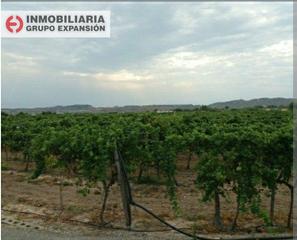Finca rústica a Pedanías Oeste. Terreno en aspe zona huerta mayor