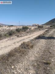Finca rústica a Jumilla. Terreno en jumilla de 10.400 metros