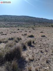 Finca rústica en Jumilla. Terreno en jumilla de 26.000 metros