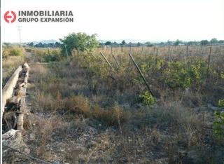 Finca rústica a Novelda. Terreno novelda bien situado