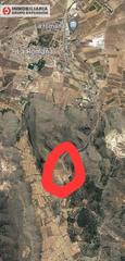 Propriété à Romana (la). Terreno en la romana carretera de la algueña