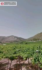Finca rústica a Pedanías Oeste. Terreno en aspe de 40.000 metros en la ofra