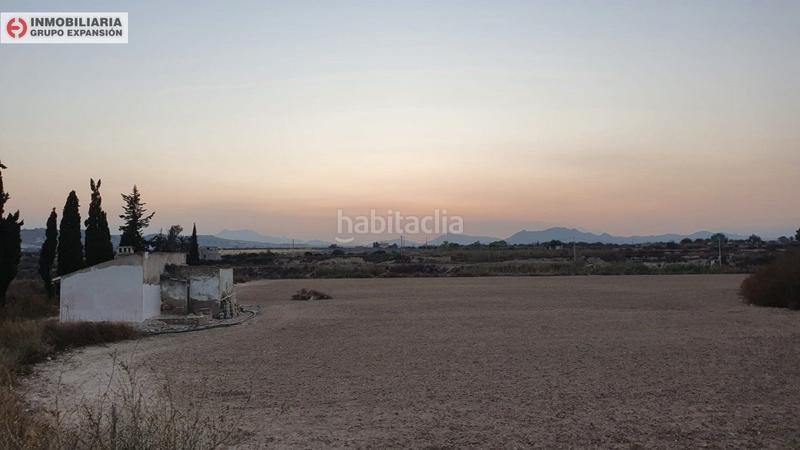 Foto 01b387a5-69e1-4dbf-b0d6-1fbab1631ed8. Xalet a Pedanías Oeste Aspe