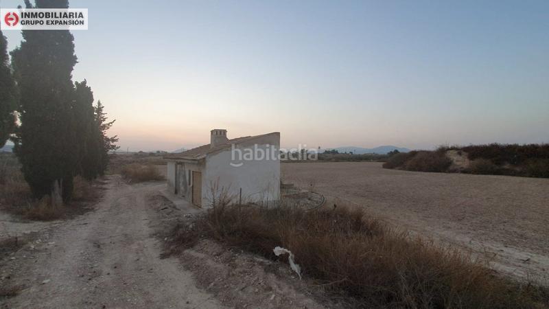 Foto 1f6d96d9-337c-4aaa-a5c9-ceed31f68126. Xalet a Pedanías Oeste Aspe