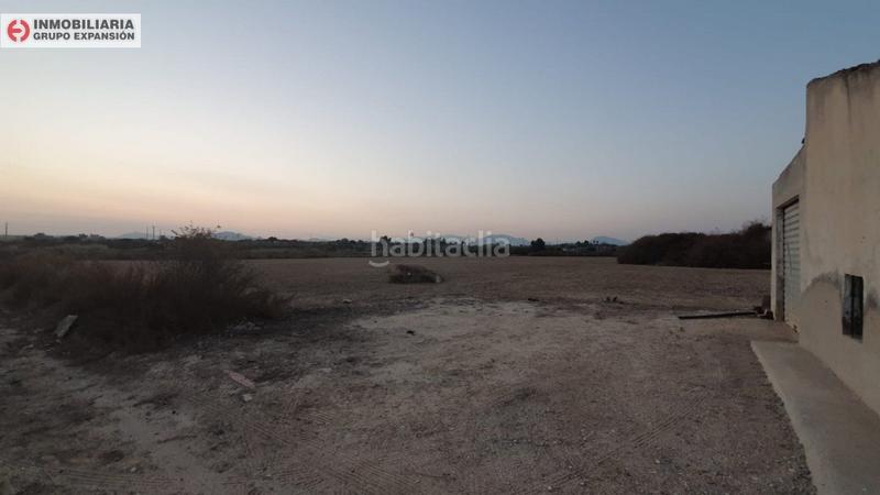 Foto 38a59e0c-a320-4860-992f-e5f5e13541b1. Xalet a Pedanías Oeste Aspe