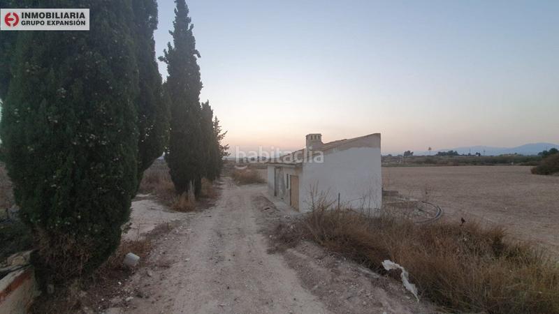 Foto 71362d00-f697-491a-b03d-71547b1426b8. Xalet a Pedanías Oeste Aspe