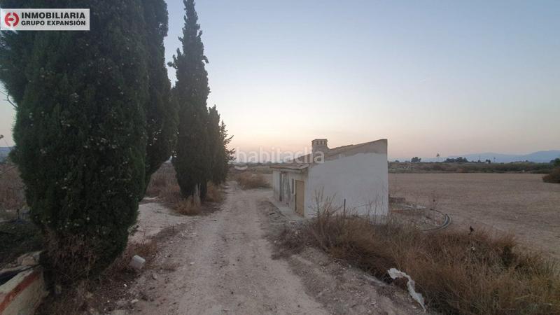 Foto ab297420-cf7e-4230-9aba-d3ab3f5d4184. Xalet a Pedanías Oeste Aspe