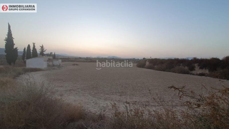 Foto d9ed6e7e-35e4-4e97-be83-d04eb0de8073. Xalet a Pedanías Oeste Aspe