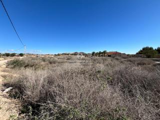 Finca rústica a El Castillo. Terreno en aspe muy bien situado