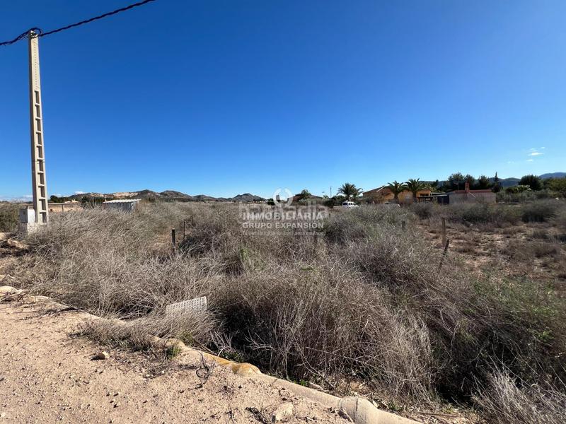 Foto 45ca7f29-ec0b-4b43-8a10-4ae4f0f01faa. Finca rústica a El Castillo Aspe