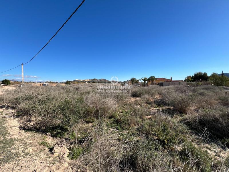 Foto 47791a63-0972-4174-8676-c0660b2935fa. Finca rústica a El Castillo Aspe