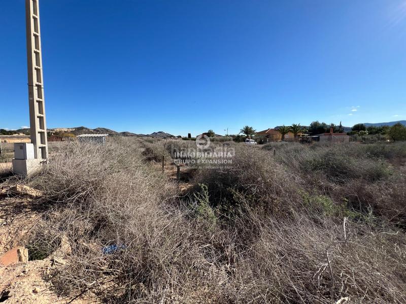 Foto be7792c4-e0c2-4116-89b0-fb0d17c766d0. Finca rústica a El Castillo Aspe