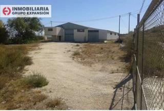 Nau industrial a Pedanías Oeste. Nave en aspe carretera de alicante