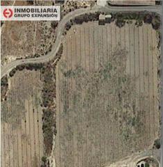 Finca rústica a Pedanías Oeste. Terreno de 8.000 metros en aspe