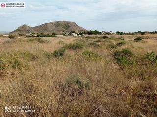 Rural plot in Novelda. Terreno en novelda de 9.900 m2 bien situado