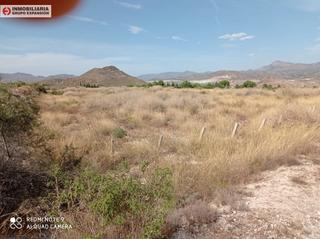 Rural plot in Novelda. Terreno en novelda de 22.000 m2 muy bien situado