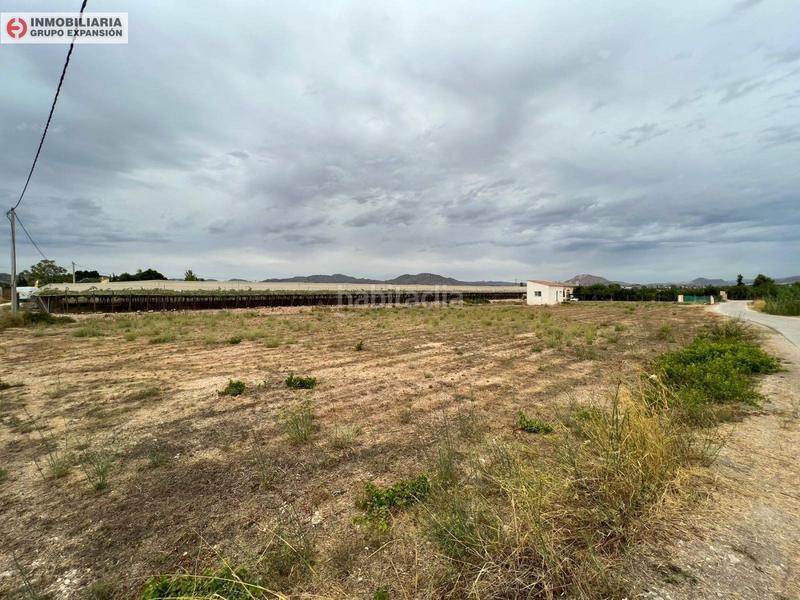 Foto 82c968b3-efbc-4bfa-8494-e2be77c6159f. Chalet dans Pedanías Oeste Aspe