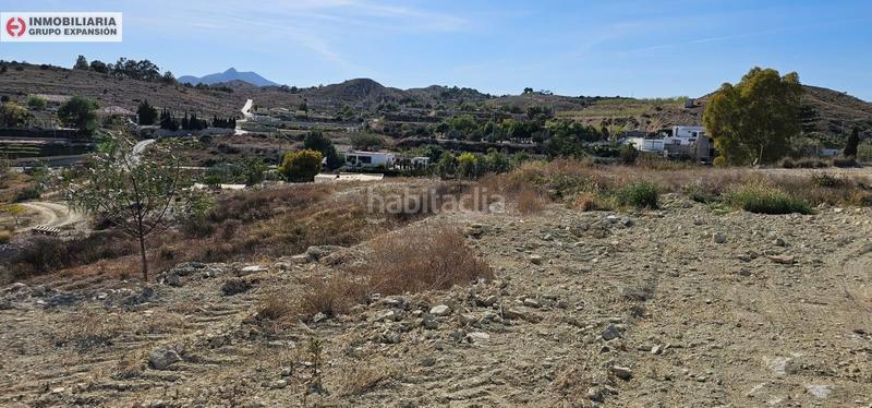 Foto 7f5febdf-4832-4519-adb0-7b1b7cfd1f89. Finca rústica a El Castillo Aspe