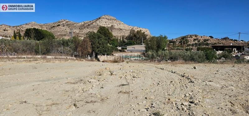 Foto aec3f18f-ad3d-463f-a6cb-a0ac8549c8ac. Finca rústica a El Castillo Aspe