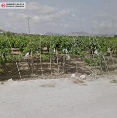 Finca rústica a El Castillo. Terreno en aspe de 3.240 metros muy bien situado