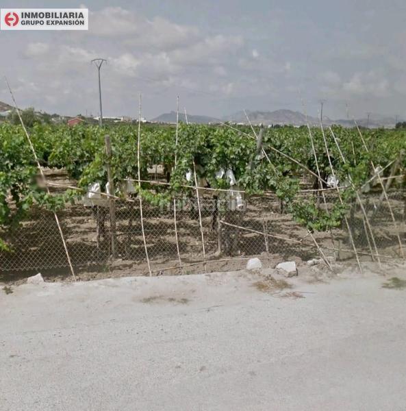 Foto 8fa0b1a0-ba76-4f04-92a0-cfdea459c725. Finca rústica a El Castillo Aspe