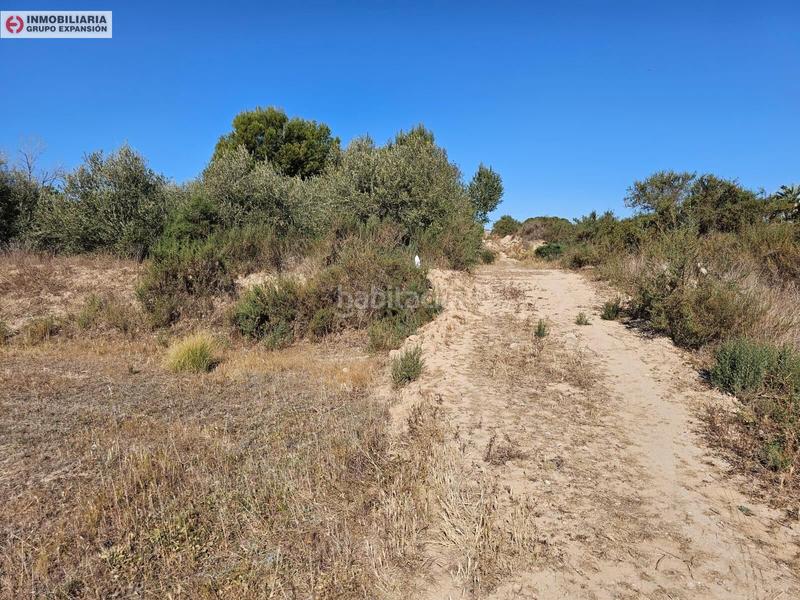 Foto 3be210ce-52a6-4708-9e3b-bac2f3d8f981. Xalet a El Castillo Aspe