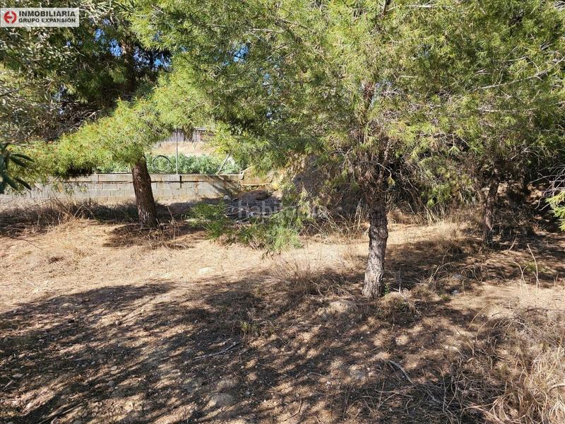 Foto 6ba2b8be-c522-4764-94ed-4af1bafddda1. Xalet a El Castillo Aspe