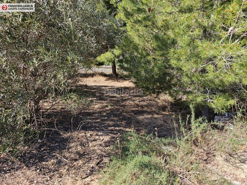 Foto e5f58140-4f5a-4c33-b979-bd4ffb0af031. Xalet a El Castillo Aspe