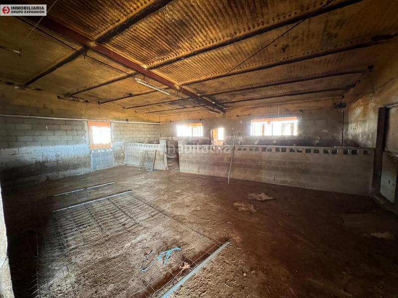 Foto 1eef35af-7306-4ee0-a02c-620450d6c85b. Bâtiment à usage industriel dans El Castillo Aspe