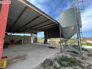 Nau industrial a El Castillo. Nave en aspe de 1.000 metros tipo agricola