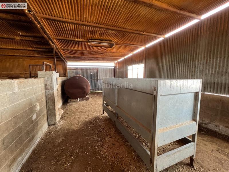 Foto 4be5935b-a536-40b3-94d0-38be87ce50b1. Bâtiment à usage industriel dans El Castillo Aspe