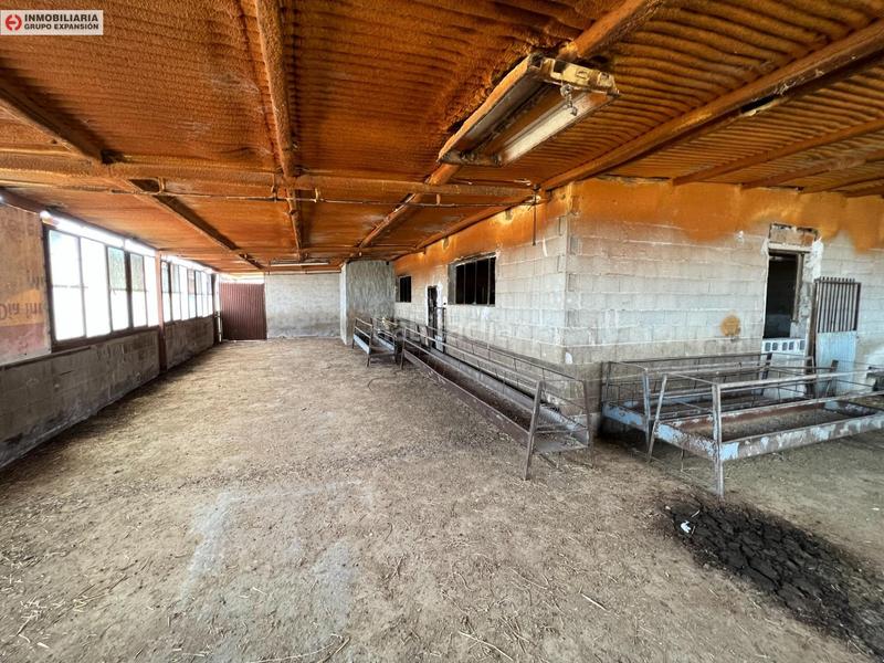 Foto 570b6d02-5a2a-4ef5-9aa1-d370b6953627. Bâtiment à usage industriel dans El Castillo Aspe