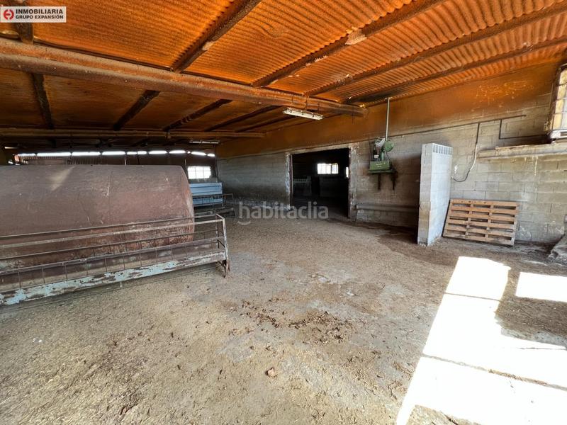 Foto 6a5ef67d-c91d-4ddf-b529-7924049629c4. Bâtiment à usage industriel dans El Castillo Aspe