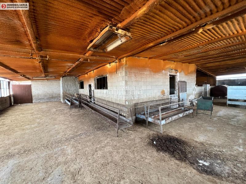 Foto 72724314-9281-49fe-9f79-64eb352132db. Bâtiment à usage industriel dans El Castillo Aspe