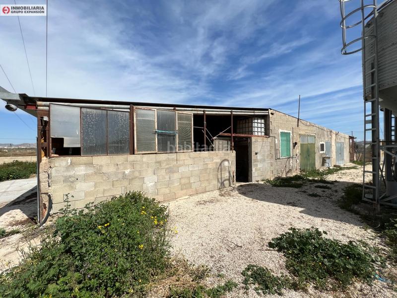 Foto 976e2f60-b087-483f-b85a-8f59ad857a7b. Bâtiment à usage industriel dans El Castillo Aspe