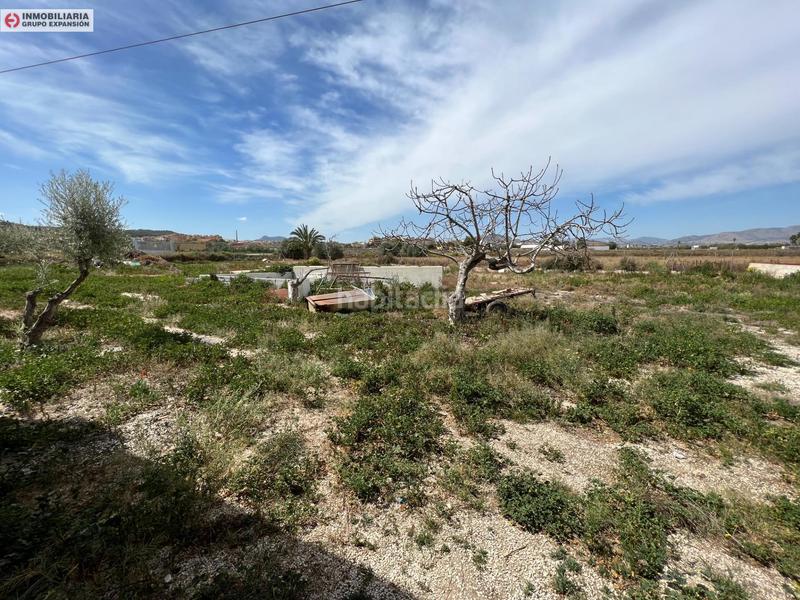 Foto cb288676-2c50-47cd-8fda-db6acbeebf4c. Bâtiment à usage industriel dans El Castillo Aspe