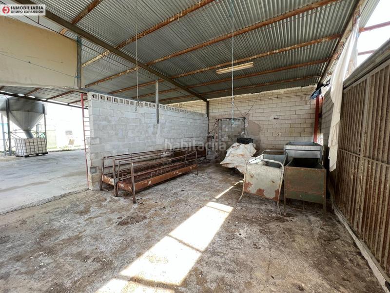 Foto d8a15dc7-1799-47c0-814e-bbfb231034eb. Bâtiment à usage industriel dans El Castillo Aspe