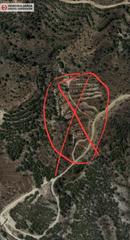 Finca rústica a El Castillo. Terreno en aspe de 12.000 metros con pozo propio  zona uchel