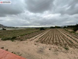 Finca rústica a El Castillo. Espectacular terreno rural en aspe de 21.150 metros  zona la ofr