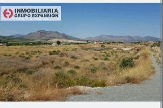 Finca rústica a Pedanías Oeste. Terreno en aspe 12.000 metros