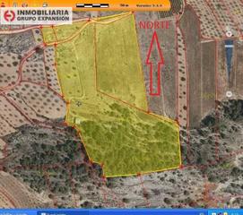 Propriété à Romana (la). Terreno en monovar, la romaneta de 32.400 metros muy bien situad