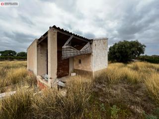 Finca rústica a El Castillo. Terreno de 12.000 metros en aspe  zona huerta mayor