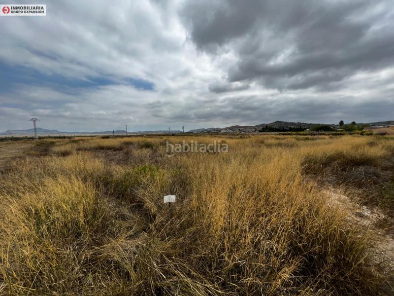 Foto 8f04c870-ca80-45a3-b339-1c9df9fe7ade. Finca rústica a El Castillo Aspe